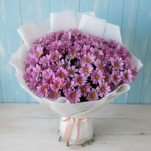 Букет цветов из:  Хризантемы в Зайково