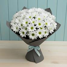 Букет цветов из:  Хризантемы #REPLACE_PRED# Зайково