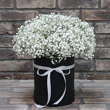 Цветочная композиция из Гипсофила в шляпной коробке в Зайково
