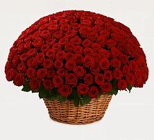 Премиум букет из: Розы #REPLACE_PRED# Зайково