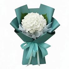 Букет цветов из:  Гортензия в Зайково
